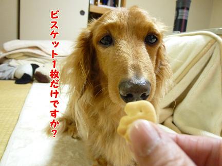 お風呂の日・・・