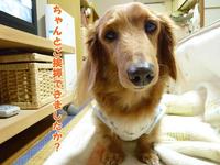 自分ってば・・・ 2011/02/08 20:04:57
