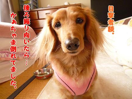 名誉の負傷・・・