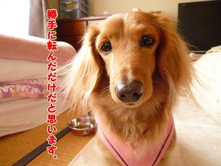 名誉の負傷・・・