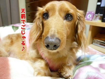 痛てぇ～ぞ。