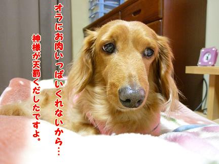 痛てぇ～ぞ。