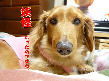 痛てぇ～ぞ。