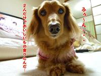 オレンジパパさん♪ 2011/02/21 19:10:25