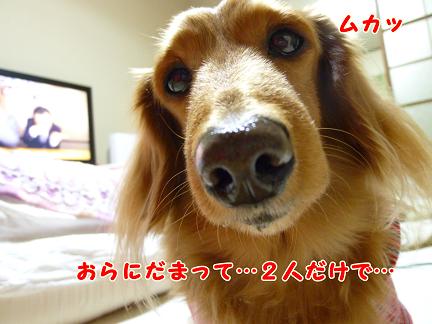 オレンジパパさん♪