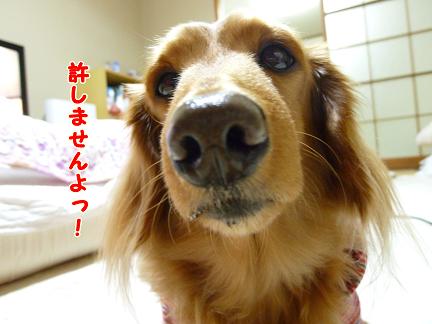 オレンジパパさん♪