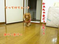 ちっちゃいとぅちゃん♪ 2011/02/22 19:52:25
