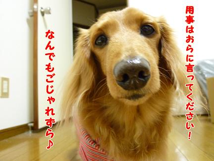 ちっちゃいとぅちゃん♪