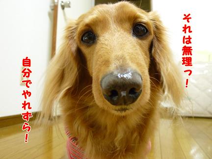 ちっちゃいとぅちゃん♪