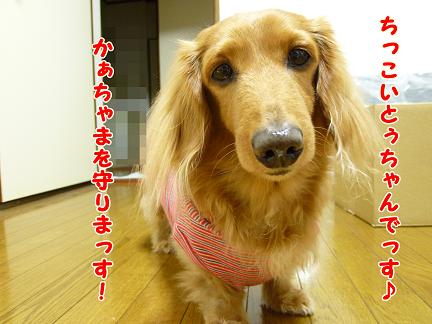 ちっちゃいとぅちゃん♪