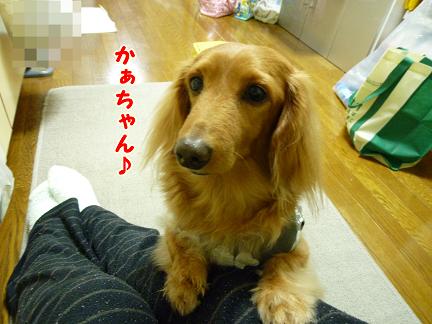 あなたが好きだから♪