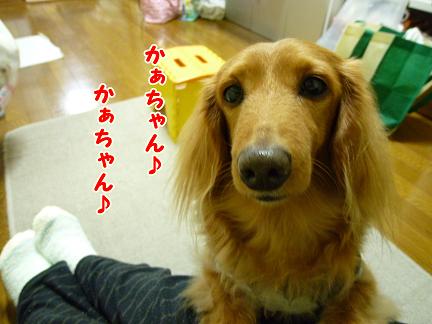あなたが好きだから♪