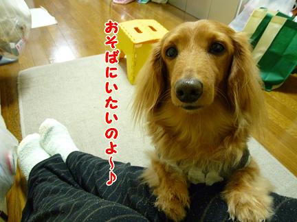 あなたが好きだから♪