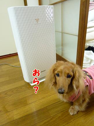 とぅちゃまの天敵。