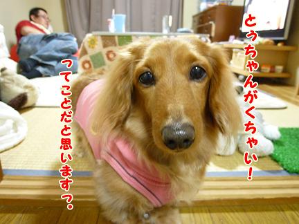 とぅちゃまの天敵。