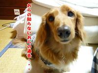 あちゃるの生い立ち～出会い編～ 2011/03/04 21:13:00