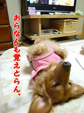 あちゃるの生い立ち～不毛時代編～