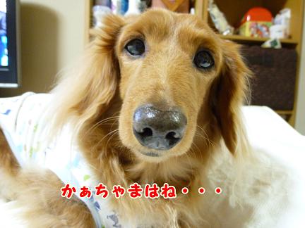 幸せとは・・・