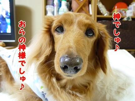 幸せとは・・・