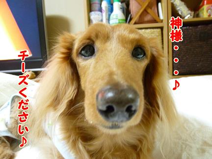 幸せとは・・・