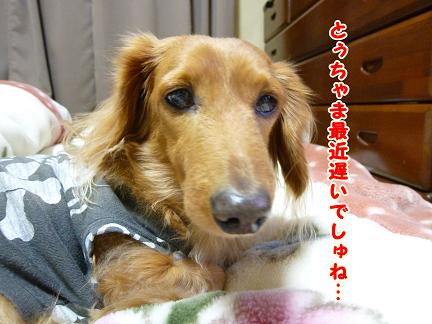 がんばですよっ♪