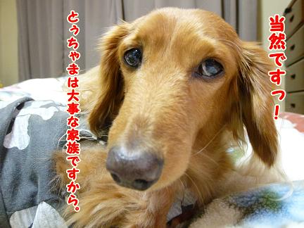 がんばですよっ♪