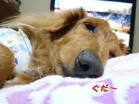 こんな日常 2011/04/07 19:10:06