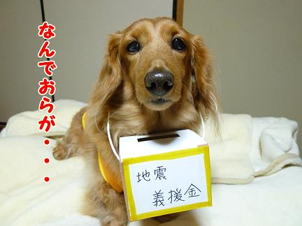 こんな日常