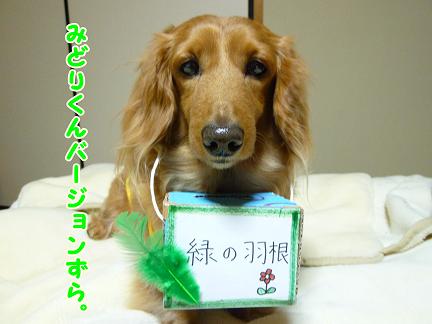 こんな日常