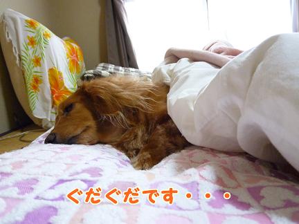 起きないあちゃる。