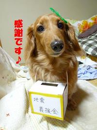 あれから...1ヶ月。 2011/04/11 17:51:22