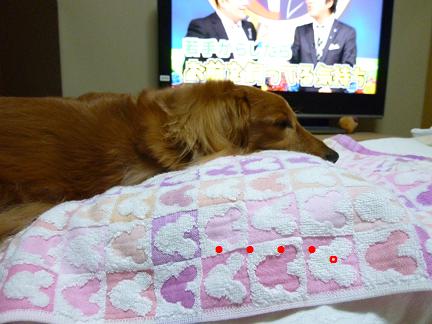 見えませんよ。
