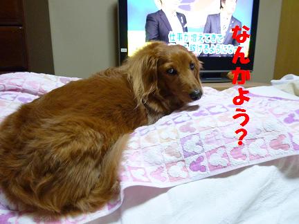 見えませんよ。