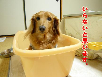 あちゃるのために買ったのに。
