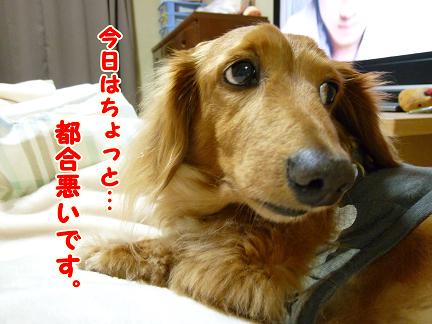 あちゃるのために買ったのに。
