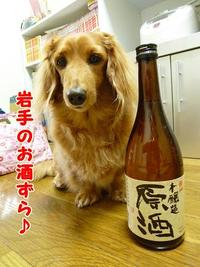 岩手なお酒♪ 2011/04/15 19:25:48