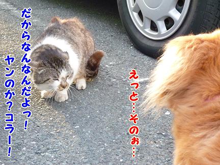仕事終りのお散歩