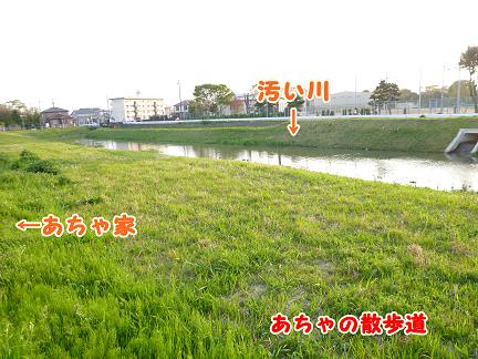 仕事終りのお散歩