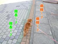 今日は病院。 2011/05/08 16:02:12