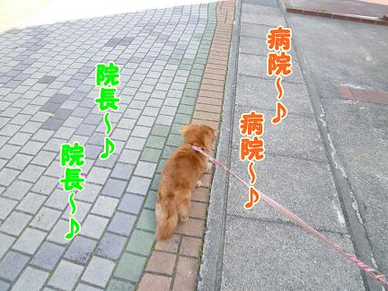 今日は病院。