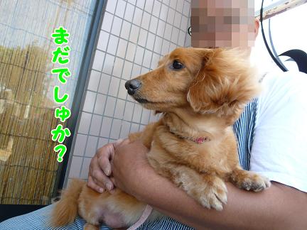 今日は病院。