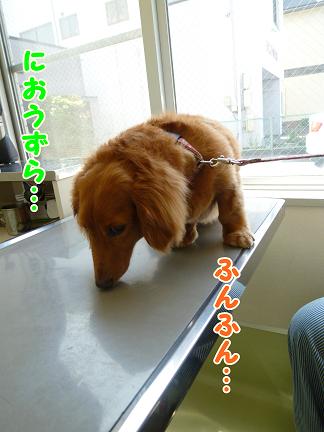 今日は病院。