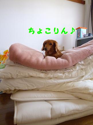 ほめるってば大変。