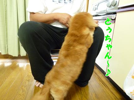 ほめるってば大変。