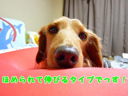 ほめるってば大変。