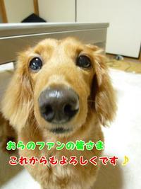 ブログ始めた理由。 2011/05/10 20:33:19
