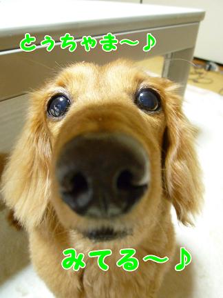 ブログ始めた理由。