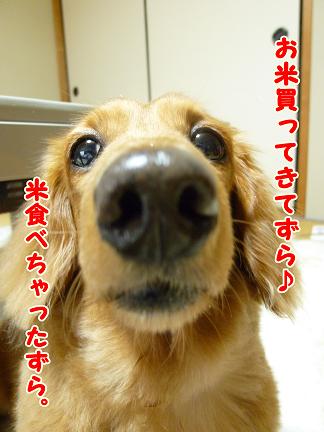 ブログ始めた理由。