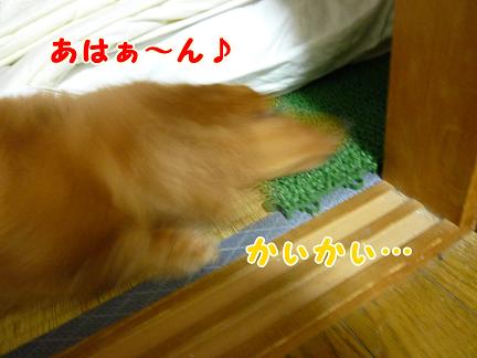 みどりのコーナー。