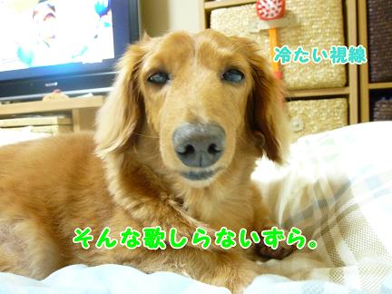 漁港で大人気♪